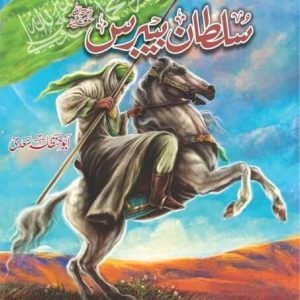 Sultan Beibers