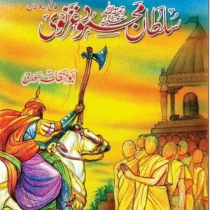 Sultan Mehmood Ghaznavi