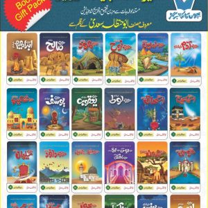 Seerat ul Anbia Series
